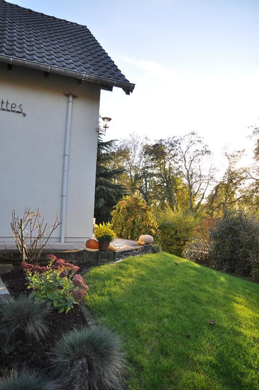 Chambres D'Hotes Les Chalinettes Fegersheim Exterior photo